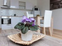 Eladó téglalakás, VII. kerületben 147.9 M Ft, 3 szobás