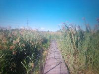 Eladó telek, Majosházán 140 M Ft / költözzbe.hu