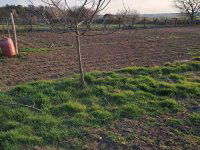 Eladó telek, Siófokon 17 M Ft / költözzbe.hu