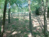 Eladó telek, Zalaszentgróton 3.5 M Ft / költözzbe.hu