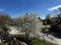 Eladó családi ház, Levélen 62.5 M Ft, 3+1 szobás