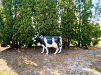 Eladó ipari ingatlan, Seregélyesen 120 M Ft / költözzbe.hu