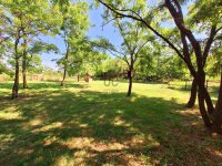 Eladó telek, Tökölön 32 M Ft / költözzbe.hu