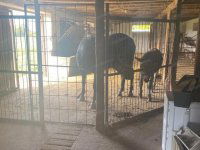 Eladó telek, Kunadacson 257.842 M Ft / költözzbe.hu