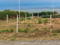 Eladó telek, Balatonszárszón 156.9 M Ft / költözzbe.hu