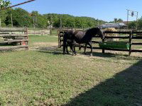 Eladó családi ház, Császártöltésen 187 M Ft, 4 szobás