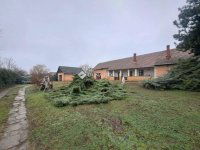 Eladó családi ház, Tiszakécskén 50 M Ft, 4 szobás