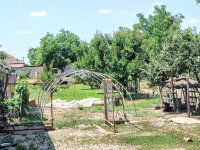 Eladó családi ház, Sándorfalván 65 M Ft, 4 szobás