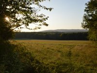 Eladó telek, Hárskúton 30 M Ft / költözzbe.hu