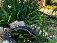 Eladó családi ház, Monyoródon 29.9 M Ft, 117+3 szobás