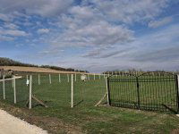 Eladó mezogazdasagi ingatlan, Szomoron 7 M Ft