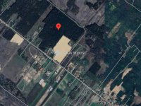 Eladó telek, Ladánybenén 12 M Ft / költözzbe.hu