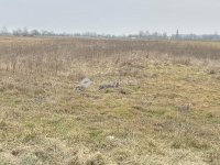 Eladó telek, Cegléden, Akácos utcában 26.9 M Ft