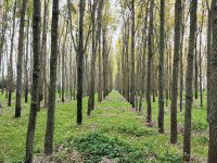 Eladó mezogazdasagi ingatlan