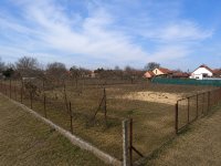Eladó telek, Pusztavacson 10 M Ft / költözzbe.hu