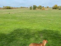 Eladó mezogazdasagi ingatlan