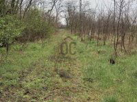 Eladó telek, Szadán 59.9 M Ft / költözzbe.hu