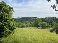 Eladó telek, Zalaegerszegen 19 M Ft / költözzbe.hu