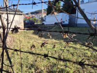 Eladó telek, Ürömön 89 M Ft / költözzbe.hu