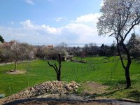 Eladó mezogazdasagi ingatlan, Paloznakon 88.9 M Ft