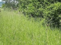 Eladó telek, Pomázon 10.7 M Ft / költözzbe.hu