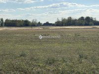 Eladó mezogazdasagi ingatlan, Orgoványon 79.9 M Ft, 3 szobás