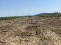 Eladó mezogazdasagi ingatlan, Balatonfüreden 15.9 M Ft