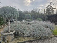 Eladó családi ház, Pócsmegyeren 259 M Ft, 6 szobás