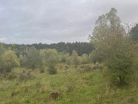 Eladó ipari ingatlan