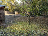 Eladó telek, Szegeden 7.4 M Ft / költözzbe.hu