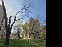 Eladó panellakás, Debrecenben, Derék utcában 48.9 M Ft, 2 szobás