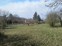 Eladó telek, Pátyon 52 M Ft / költözzbe.hu