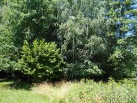 Eladó családi ház, Hegyhátszentjakabon 28 M Ft, 2 szobás