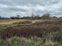 Eladó telek, Tatán 100 M Ft / költözzbe.hu