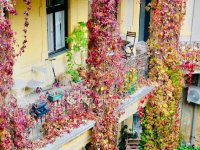 Eladó téglalakás, IX. kerületben 99.99 M Ft, 3 szobás