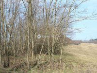 Eladó mezogazdasagi ingatlan, Alsónemesapátiban 55 M Ft