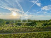 Eladó mezogazdasagi ingatlan, Somlószőlősön 6.9 M Ft