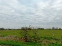 Eladó mezogazdasagi ingatlan