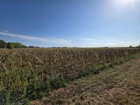 Eladó telek, Balatonkeresztúron 24.5 M Ft / költözzbe.hu