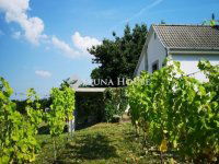 Eladó mezogazdasagi ingatlan, Dobán 24.9 M Ft