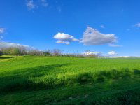 Eladó telek, Balatonendréden 3.5 M Ft / költözzbe.hu