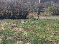 Eladó telek, Velényen 6 M Ft / költözzbe.hu