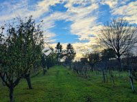 Eladó telek, Hatvanban 6.5 M Ft / költözzbe.hu