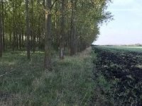 Eladó mezogazdasagi ingatlan, Sarkadkeresztúron 8.5 M Ft