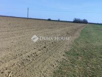 Eladó telek, Cigándon, Bem József utcában 3.1 M Ft