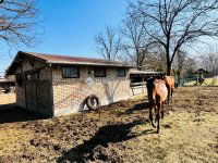 Eladó mezogazdasagi ingatlan, Pilisen 81.9 M Ft, 4 szobás