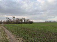 Eladó mezogazdasagi ingatlan