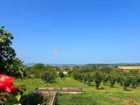 Eladó családi ház, Etyeken 220 M Ft, 4 szobás