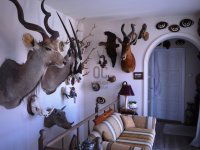 Eladó ikerház, XVIII. kerületben 195 M Ft, 5 szobás