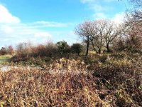 Eladó telek, Tésen 61.5 M Ft / költözzbe.hu